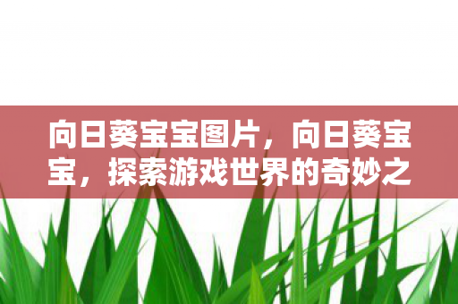向日葵宝宝图片，向日葵宝宝，探索游戏世界的奇妙之旅
