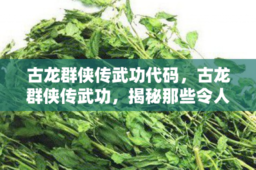 古龙群侠传武功代码，古龙群侠传武功，揭秘那些令人叹为观止的绝世神功