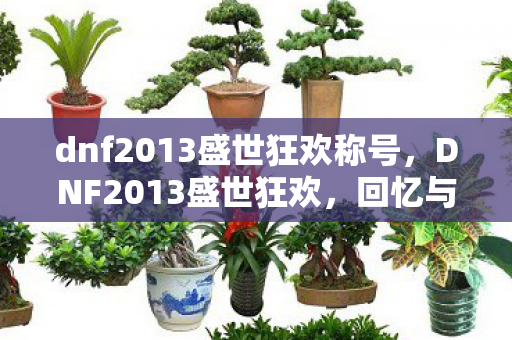 dnf2013盛世狂欢称号，DNF2013盛世狂欢，回忆与情怀的交织