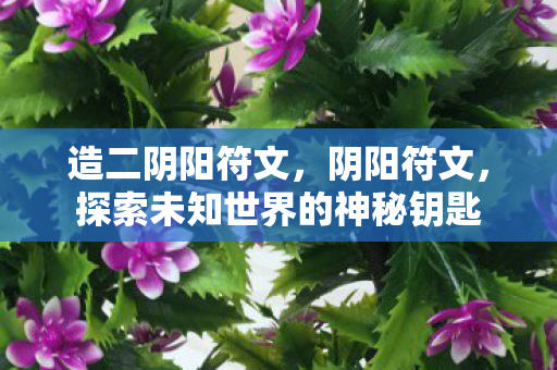 造二阴阳符文，阴阳符文，探索未知世界的神秘钥匙