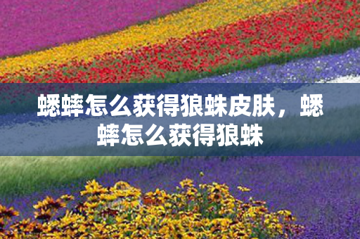 蟋蟀怎么获得狼蛛皮肤，蟋蟀怎么获得狼蛛