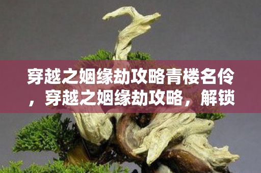 穿越之姻缘劫攻略青楼名伶，穿越之姻缘劫攻略，解锁浪漫情缘的秘诀