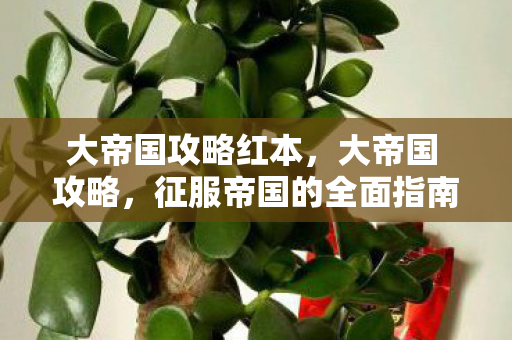 大帝国攻略红本，大帝国 攻略，征服帝国的全面指南