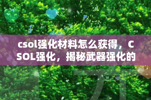 csol强化材料怎么获得，CSOL强化，揭秘武器强化的奥秘与技巧