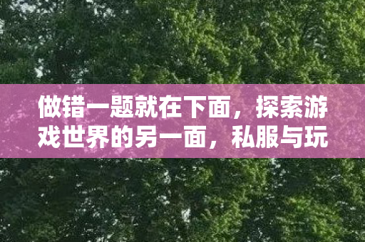 做错一题就在下面，探索游戏世界的另一面，私服与玩家的灰色地带