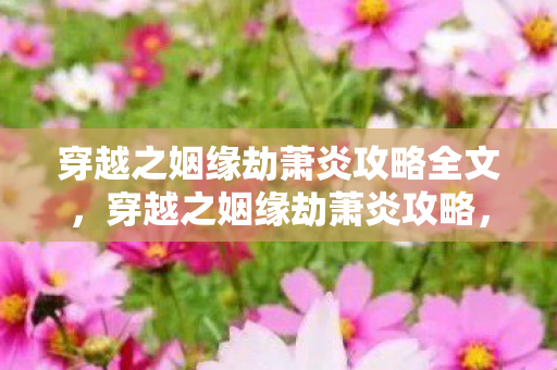 穿越之姻缘劫萧炎攻略全文，穿越之姻缘劫萧炎攻略，打造完美姻缘，攻略萧炎全解析