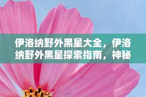 伊洛纳野外黑星大全，伊洛纳野外黑星探索指南，神秘星体的奥秘与奇遇