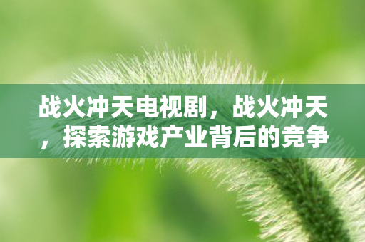 战火冲天电视剧，战火冲天，探索游戏产业背后的竞争与变革