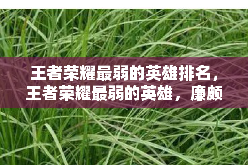 王者荣耀最弱的英雄排名，王者荣耀最弱的英雄，廉颇的困境与出路