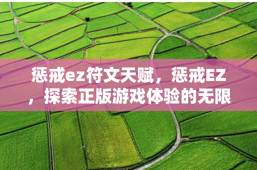 惩戒ez符文天赋，惩戒EZ，探索正版游戏体验的无限可能