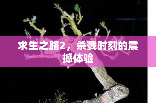 求生之路2，杀戮时刻的震撼体验