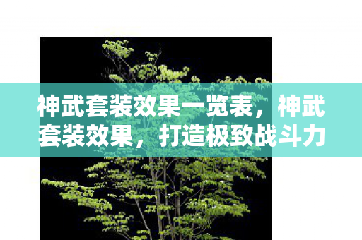 神武套装效果一览表，神武套装效果，打造极致战斗力的秘密武器