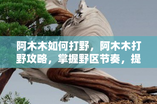 阿木木如何打野，阿木木打野攻略，掌握野区节奏，提升胜率