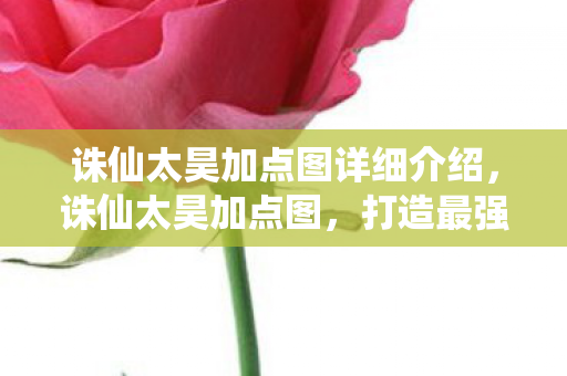 诛仙太昊加点图详细介绍，诛仙太昊加点图，打造最强角色的关键策略