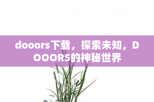 dooors下载，探索未知，DOOORS的神秘世界