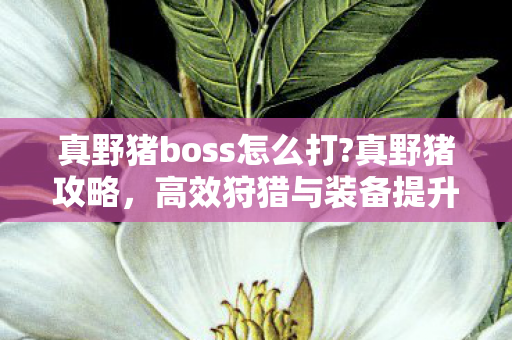 真野猪boss怎么打?真野猪攻略，高效狩猎与装备提升全解析