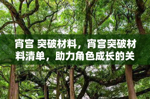 宵宫 突破材料，宵宫突破材料清单，助力角色成长的关键
