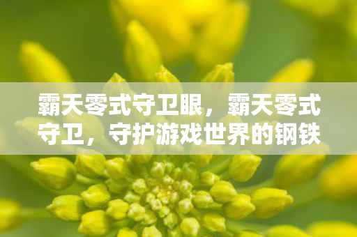 霸天零式守卫眼，霸天零式守卫，守护游戏世界的钢铁防线