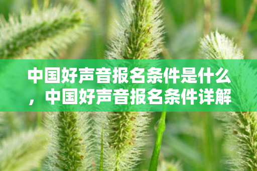 中国好声音报名条件是什么，中国好声音报名条件详解，梦想舞台的入场券