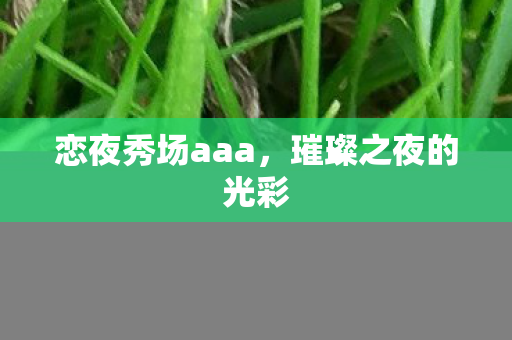 恋夜秀场aaa，璀璨之夜的光彩