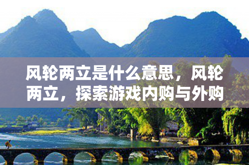 风轮两立是什么意思，风轮两立，探索游戏内购与外购的共存之道