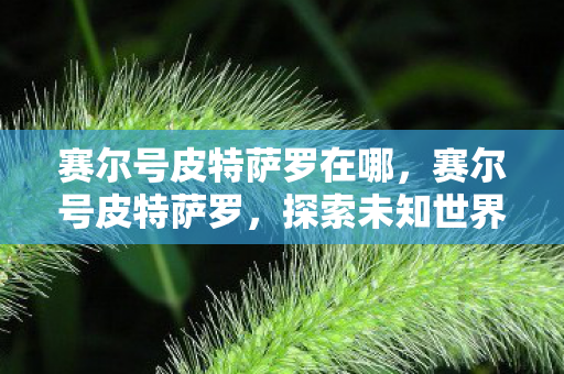 赛尔号皮特萨罗在哪，赛尔号皮特萨罗，探索未知世界的神秘精灵