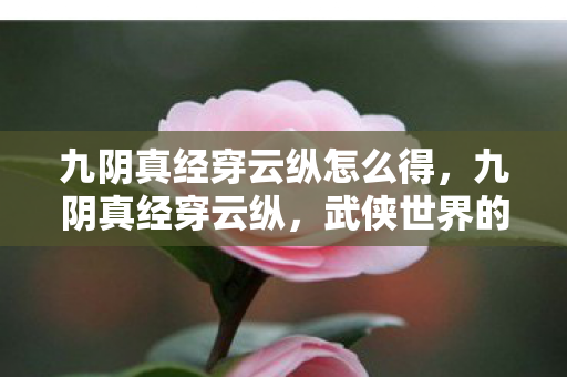 九阴真经穿云纵怎么得，九阴真经穿云纵，武侠世界的云端之旅