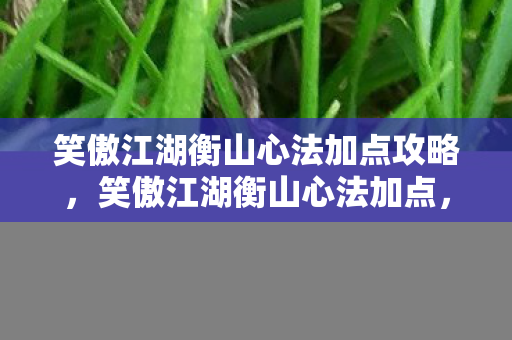 笑傲江湖衡山心法加点攻略，笑傲江湖衡山心法加点，打造最强衡山派的秘法