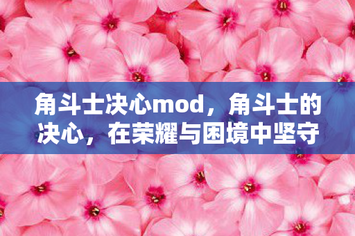 角斗士决心mod，角斗士的决心，在荣耀与困境中坚守