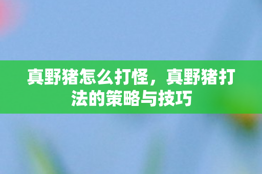 真野猪怎么打怪，真野猪打法的策略与技巧