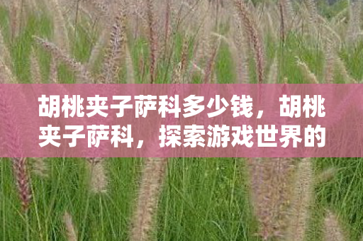 胡桃夹子萨科多少钱，胡桃夹子萨科，探索游戏世界的奇妙之旅