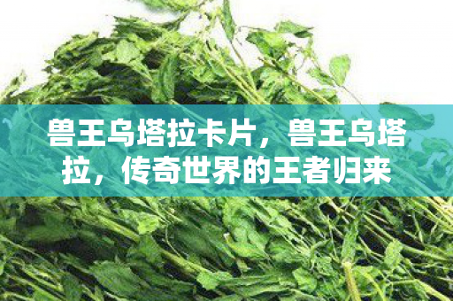 兽王乌塔拉卡片，兽王乌塔拉，传奇世界的王者归来