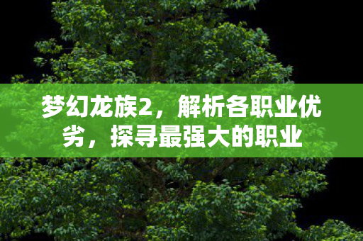梦幻龙族2，解析各职业优劣，探寻最强大的职业