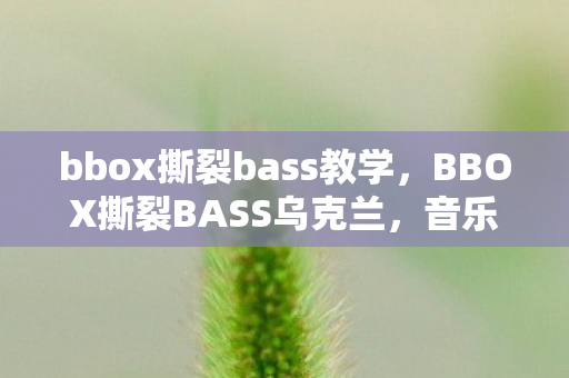 bbox撕裂bass教学，BBOX撕裂BASS乌克兰，音乐与文化的跨界碰撞