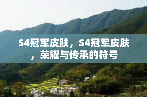 S4冠军皮肤，S4冠军皮肤，荣耀与传承的符号