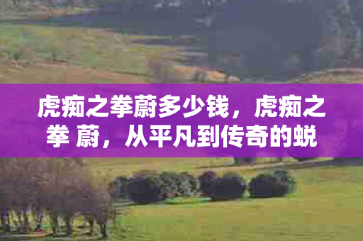 虎痴之拳蔚多少钱，虎痴之拳 蔚，从平凡到传奇的蜕变之路