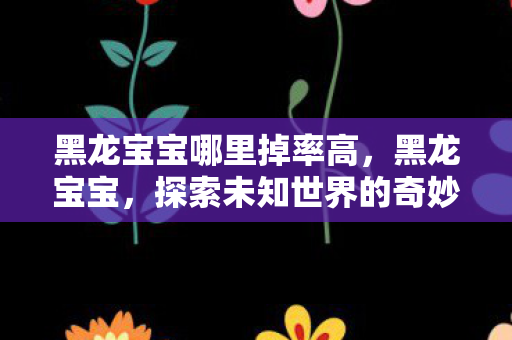 黑龙宝宝哪里掉率高，黑龙宝宝，探索未知世界的奇妙之旅