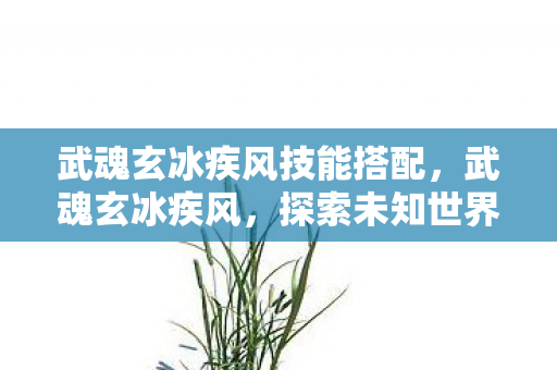 武魂玄冰疾风技能搭配，武魂玄冰疾风，探索未知世界的奇幻之旅