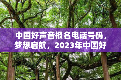 中国好声音报名电话号码，梦想启航，2023年中国好声音报名热线全面解析