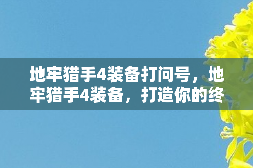 地牢猎手4装备打问号，地牢猎手4装备，打造你的终极战斗装备
