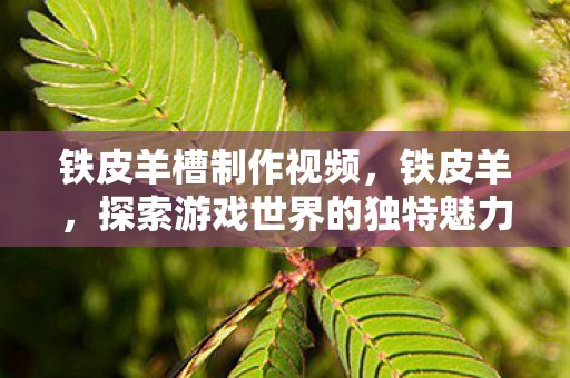 铁皮羊槽制作视频，铁皮羊，探索游戏世界的独特魅力