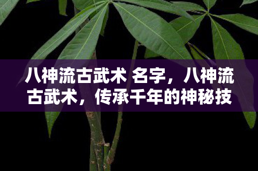 八神流古武术 名字，八神流古武术，传承千年的神秘技艺