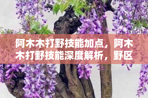 阿木木打野技能加点，阿木木打野技能深度解析，野区掌控与团战爆发