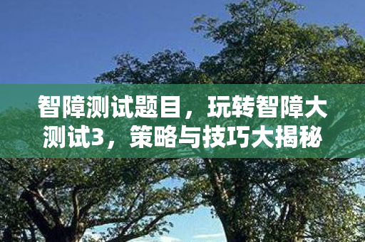智障测试题目，玩转智障大测试3，策略与技巧大揭秘