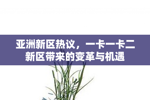 亚洲新区热议，一卡一卡二新区带来的变革与机遇