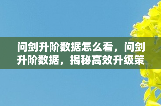 问剑升阶数据怎么看，问剑升阶数据，揭秘高效升级策略