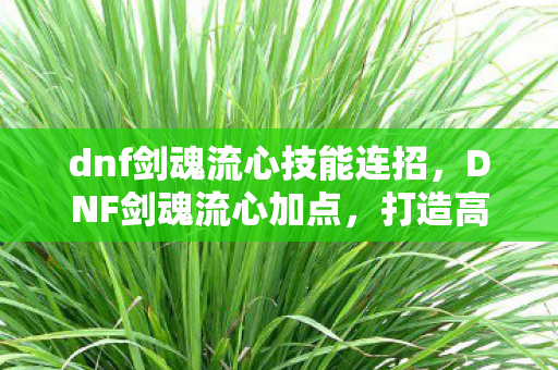 dnf剑魂流心技能连招，DNF剑魂流心加点，打造高效战斗风格