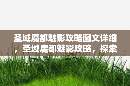 圣域魔都魅影攻略图文详细，圣域魔都魅影攻略，探索神秘世界的全面指南