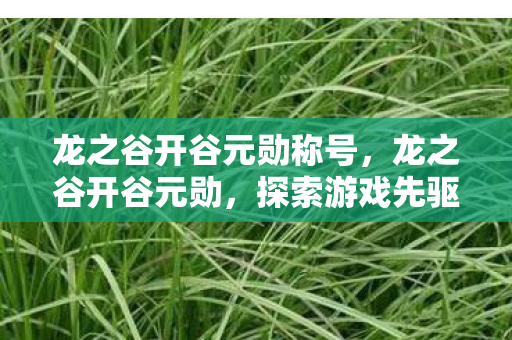 龙之谷开谷元勋称号，龙之谷开谷元勋，探索游戏先驱的辉煌历程