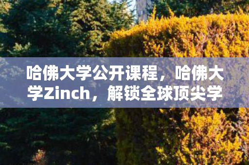 哈佛大学公开课程，哈佛大学Zinch，解锁全球顶尖学府的数据宝藏